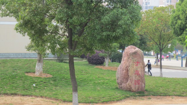 李智老师