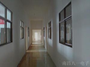 校园风光