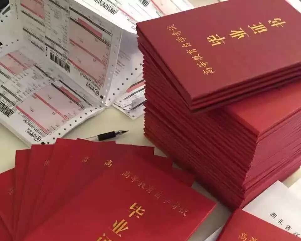 教学成果