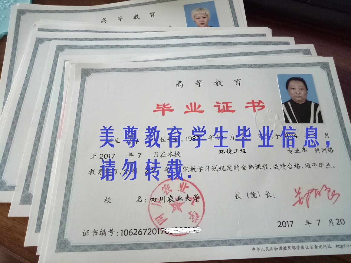 教学成果