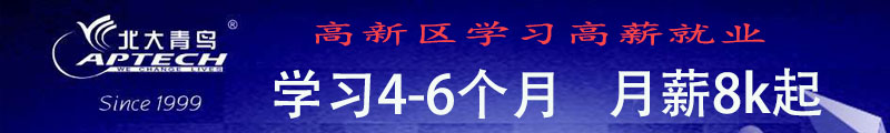 西安北大青鸟