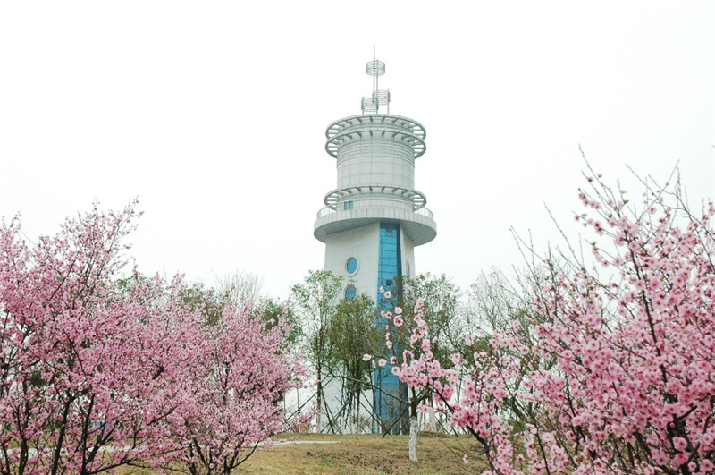 学校风景