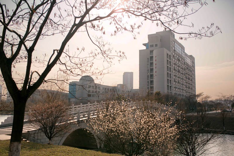 学校风景