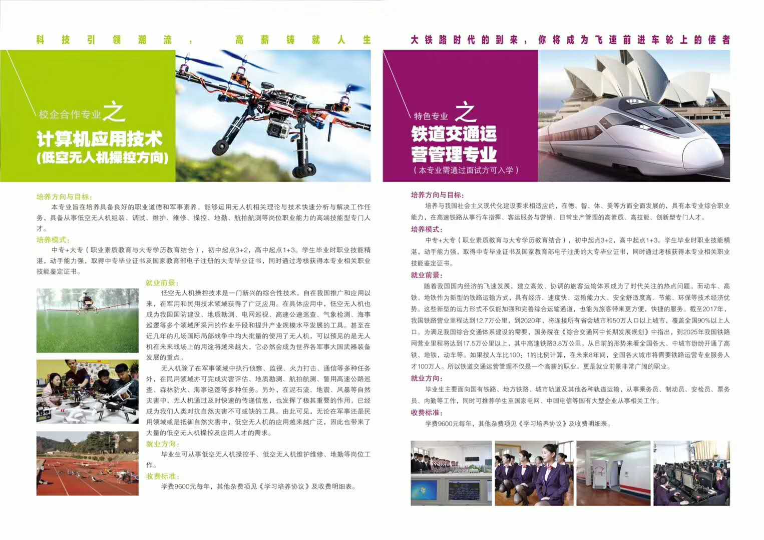 职业发展方向