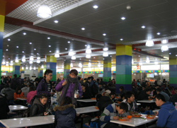 学校风光