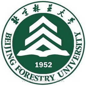 林大