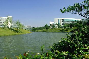 风景