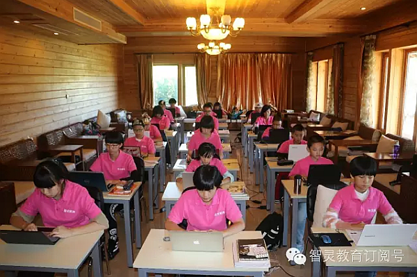 互动吧-全脑学习，开发孩子右脑，提升孩子潜能，轻松提升学习成绩--智灵教育等您！