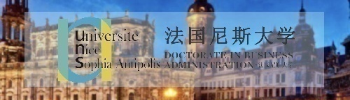 法国尼斯大学国际MBA