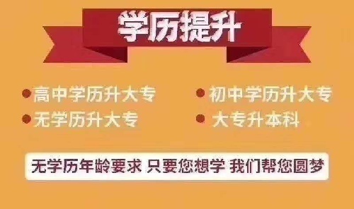 成考热门专业