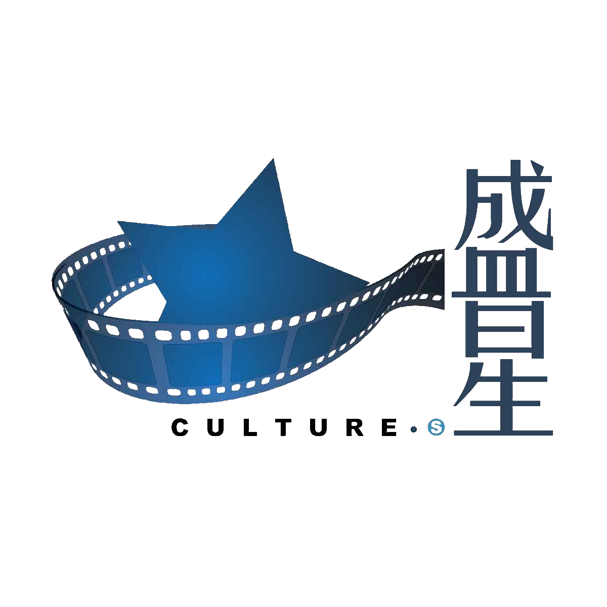 盛星LOGO.png