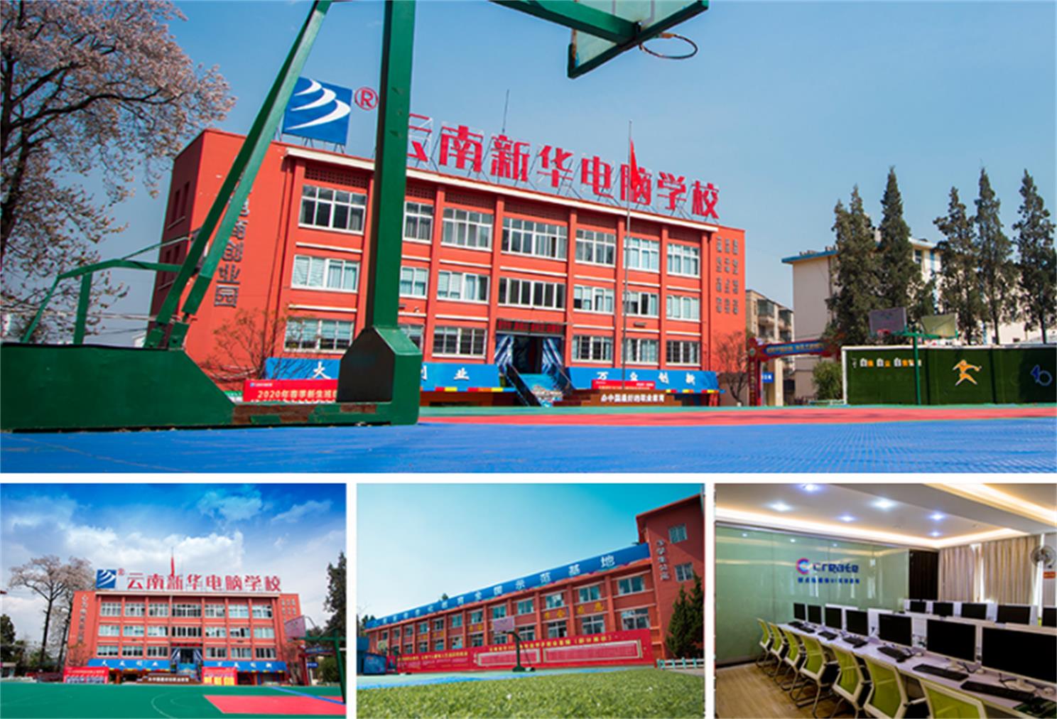 新华.jpg