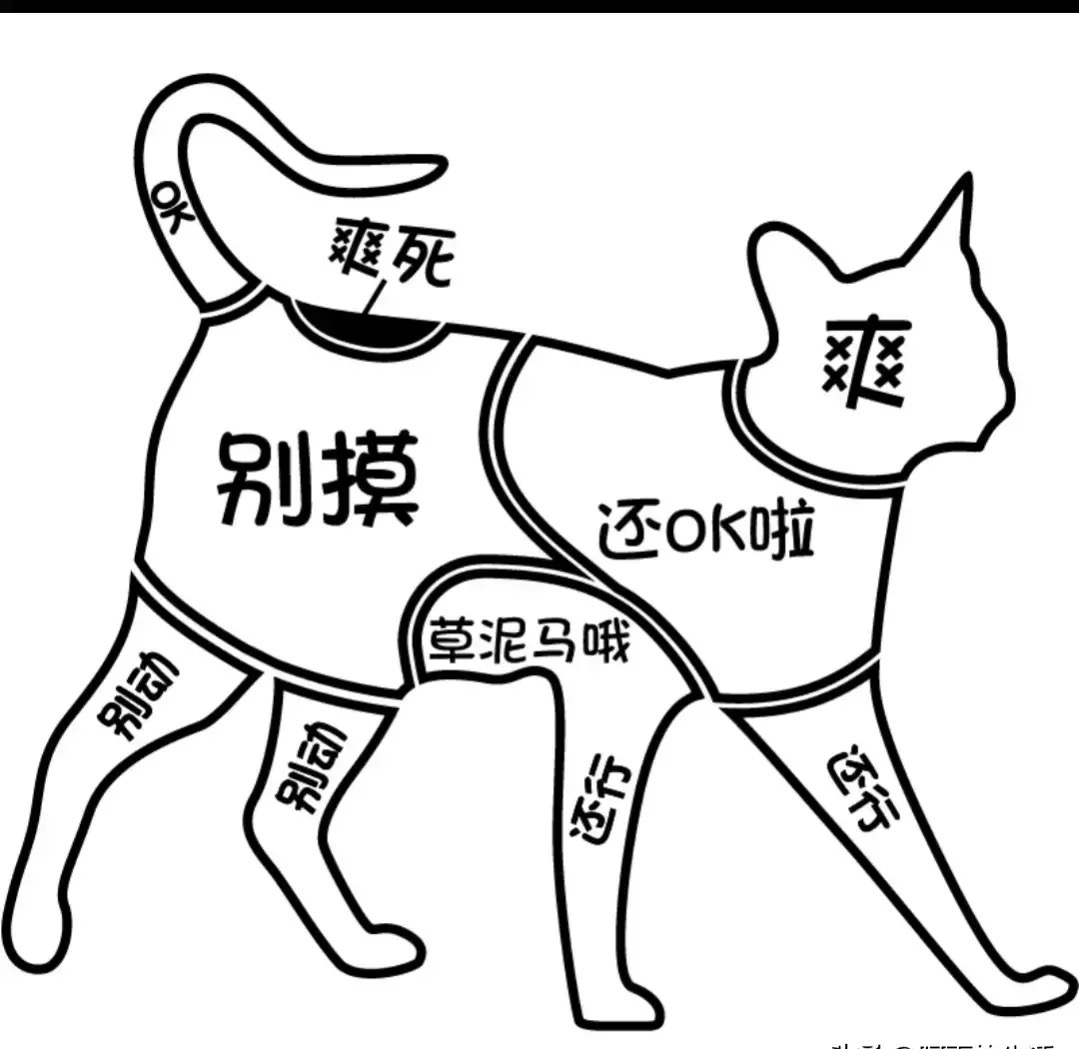 微信图片_20210910102021.jpg