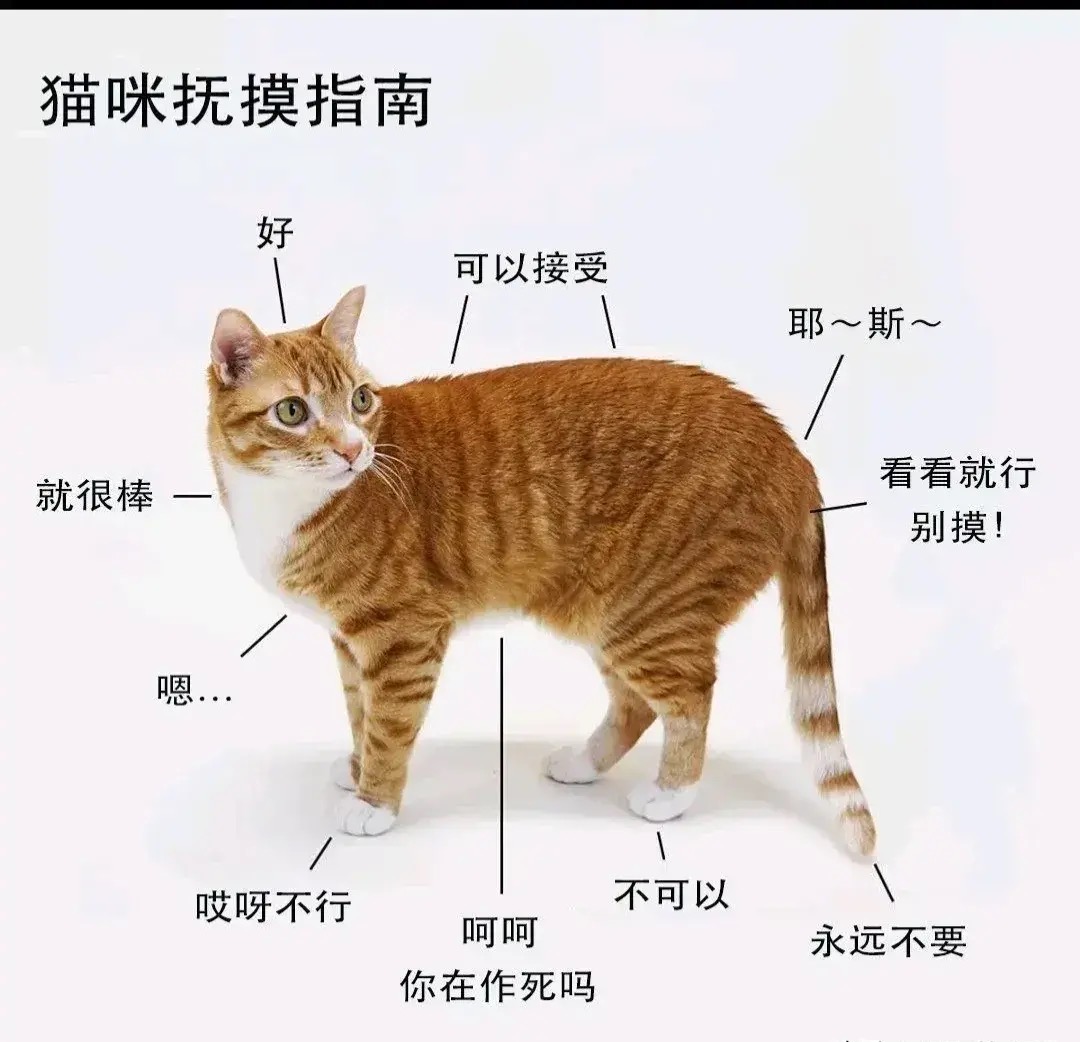 微信图片_20210910102003.jpg