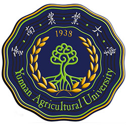 ũҵѧ2021ȫ182